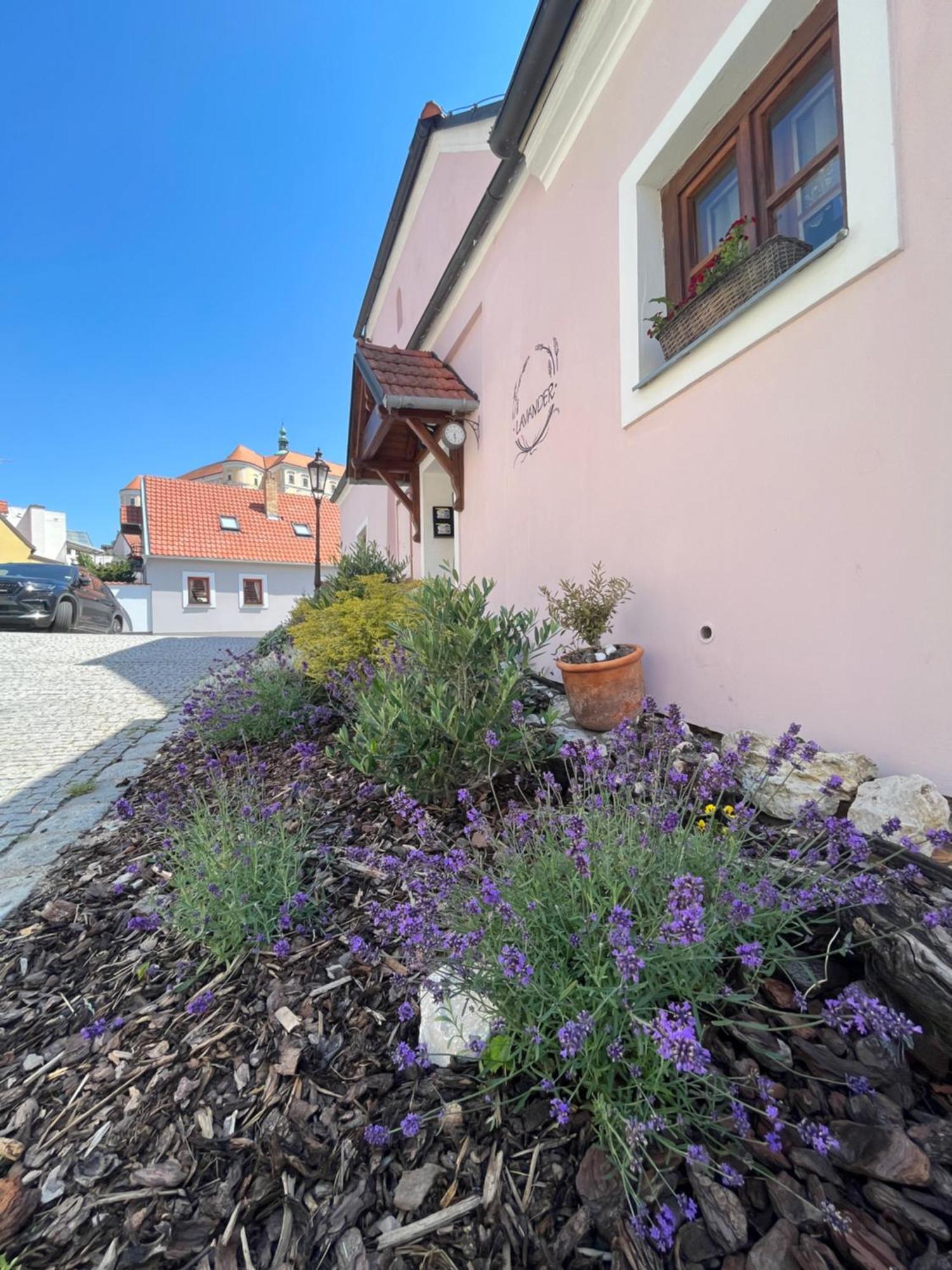 Apartmány Lavander Mikulov Exterior foto